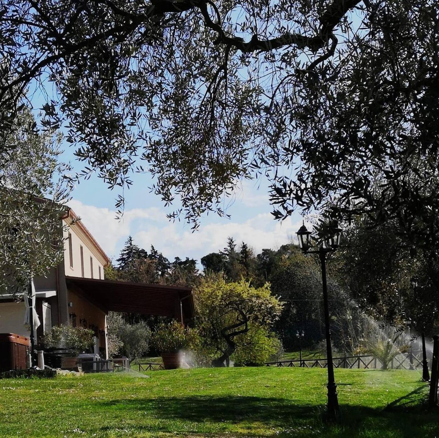 Agriturismo La Contea Senigallia Villa San Gaudenzio Exterior photo